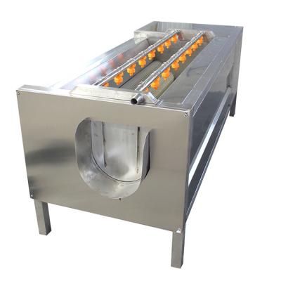 Nylon Roller Brush Potatoes Garlic 800kg/H Vegetable Peeling Machine
