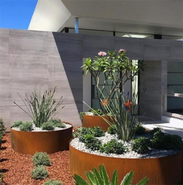 2mm Thickness Corten Steel Landscape Tree Ring With Folded Top Edge
