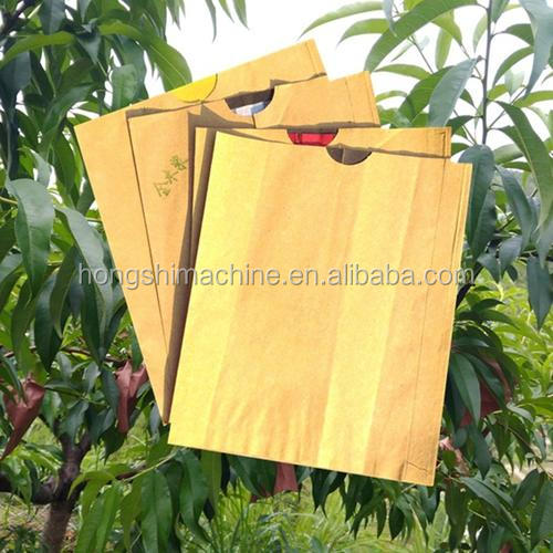 High Speed Fruit Vegetable Processing Machine Grape Growing Cover Paper Bag Maker
