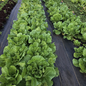 6 x 33 feet Sheet Woven Weed Control Fabric - Stabilized Black Heavy Duty 3 oz/yd² Landscape Ground Cover Membrane