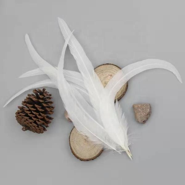 8-10 polegadas de penas de cauda longa de galo tingido para DIY acessórios de cabelo e trajes