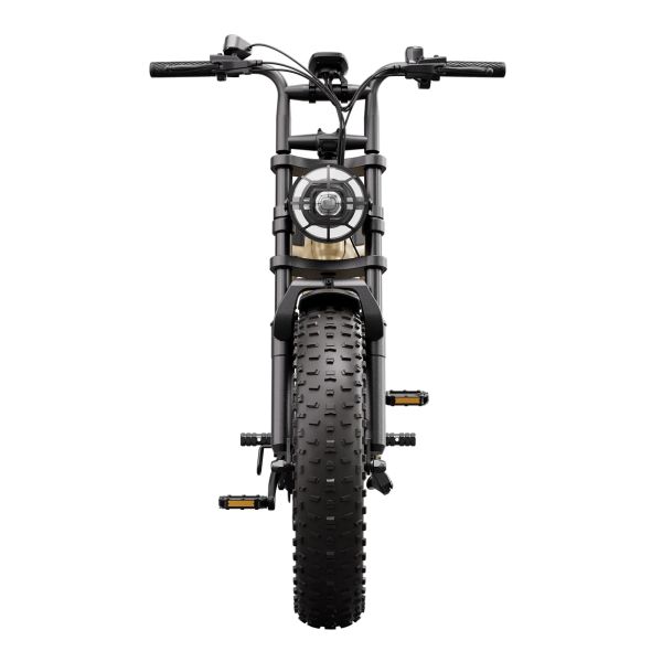 TST R7 Steel Frame Electric Bike for Teen&Adult 1500W Brushless Rear Hub Motor MTB Long Range Fat Tire Ebike Electric Dirt Bike