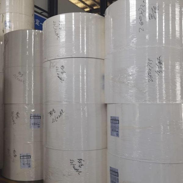 Rollo de papel recubierto de PLA biodegradable para soluciones de embalaje de alimentos