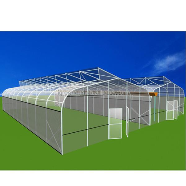 Vegetable Cultivation Plastic Tunnel Greenhouse 12m Width Single Layer