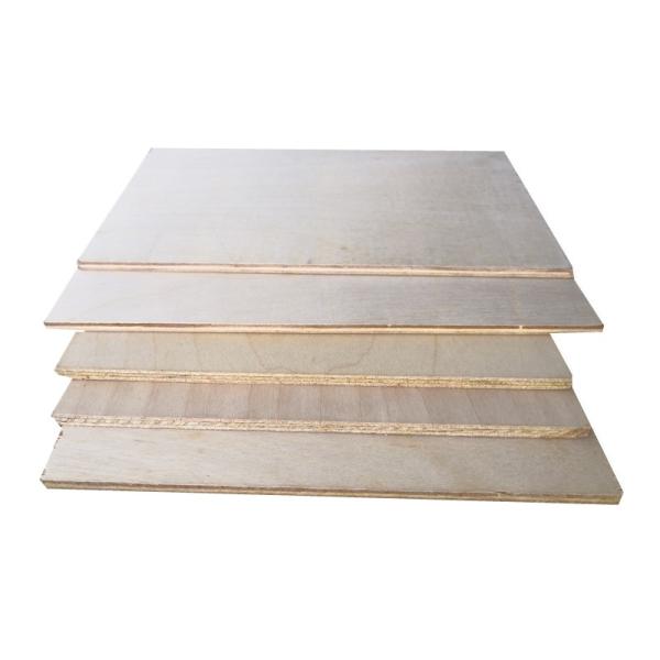 18mm Phenolic Birch Faced Plywood Mothproof For Furniture