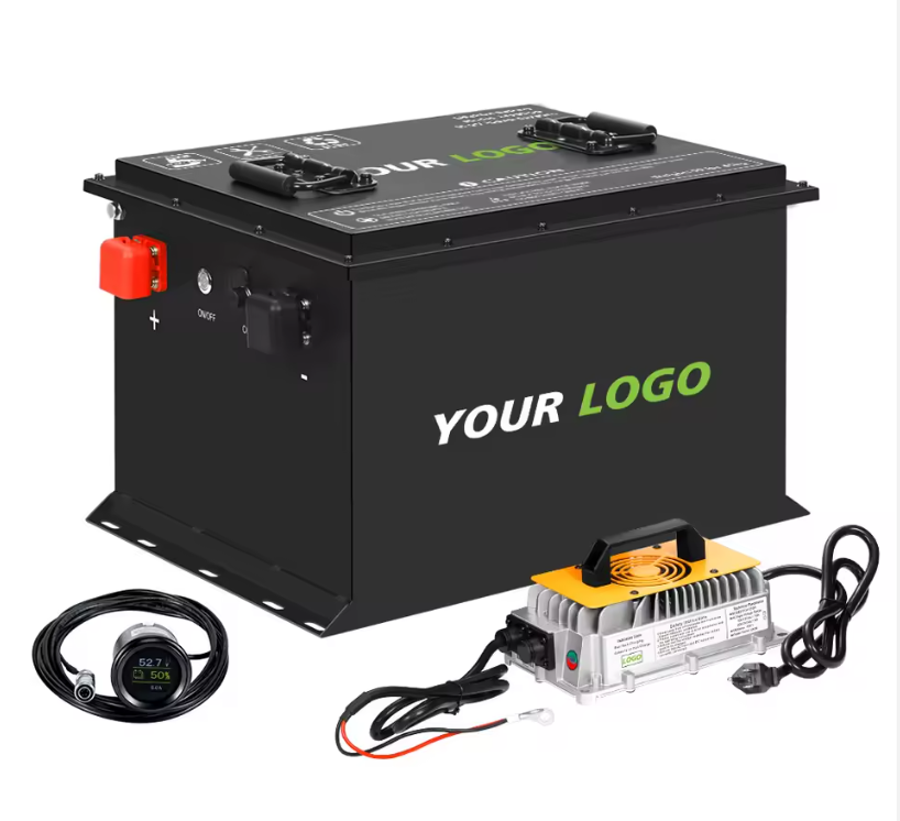 80Ah 40Ah 60Ah 100Ah 120Ah Optional Nominal Capacity Electric Vehicle Battery Pack Equipped with RS485 Communication