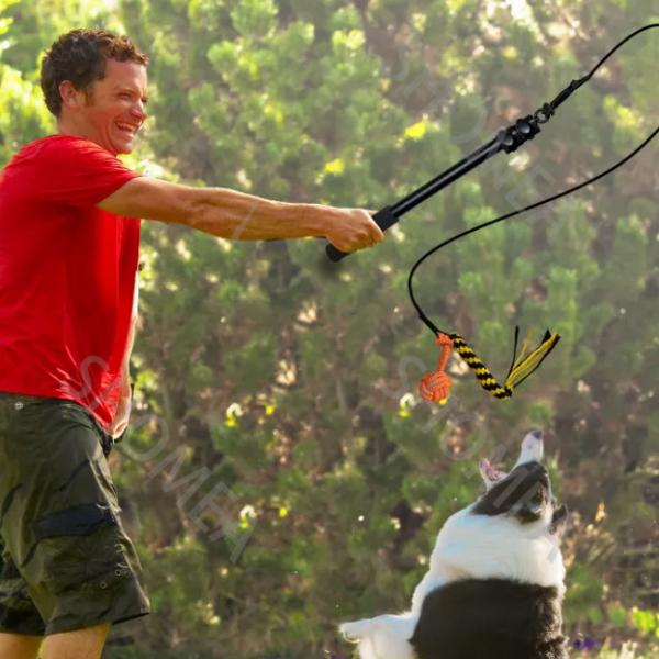 Customized Aluminum Telescopic Flirt Pole for Dog