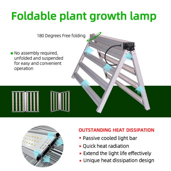 Full Spectrum LED Plant Grow Lighting 800W High Efficacy Hydroponic Daisy Chain LM281b for Seed Starting