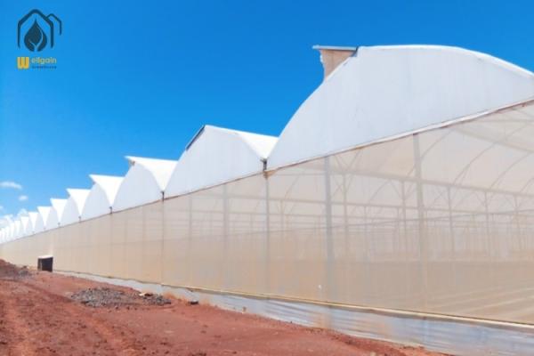 Energy Efficient Tropical Multispan Green House With Temperature And Humidity Regulation