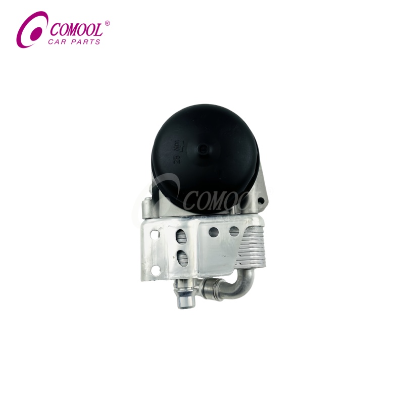 Auto Parts Engine Oil Filter Housing 11427508966 for BMW X1 X3 N40 N45 N42 N46 E46 E90
