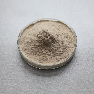 Powder Like Pork Pancreas Enzymes 2000u/G-4000u/G Fully Soluble In Water