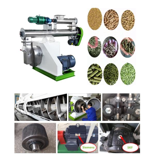 Stainless Steel Pellet Making Machine Medium Farm Feed Pellet Mill SKF Bearing