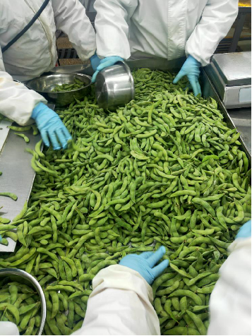 ХАЛЯЛЬНЫЕ аттестованные фасоли Edamame высоко- протеина замороженные