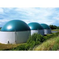 Décharges Lixiviation Aquaculture Produits d'égouts Graines de raisin Vin Réacteur anaérobie