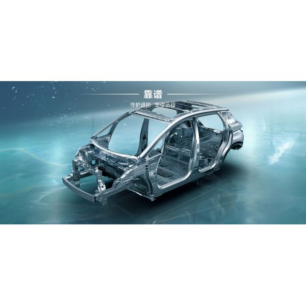 BYD 2025 Dolphin 520km Knight Edition EV