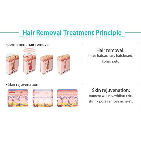 Permanent SHR Hair Removal Machine AC 230V ± 10% Power Supply ISO9001