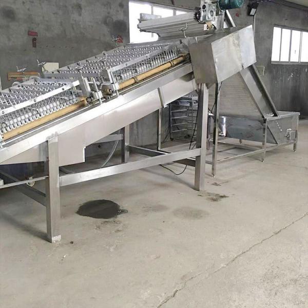 Automatic 200kg/H Shrimp Peeler Machine Efficiency For Factory Use