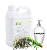 Shampoo de bambu concentrado Fragrâncias de chá branco Fragrância para shampoo