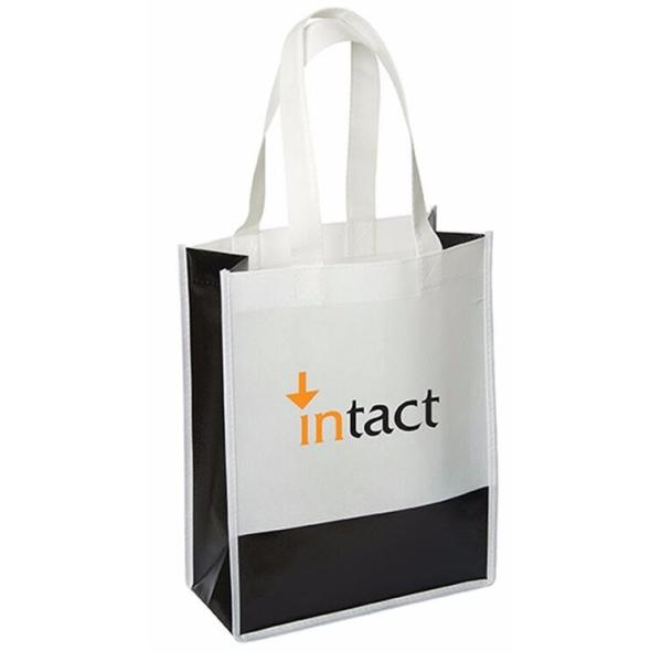 cotton canvas bag non woven bag Laminated non woven bag Cooler woven bag Canvas picnic backpack fabric storage box Nylon