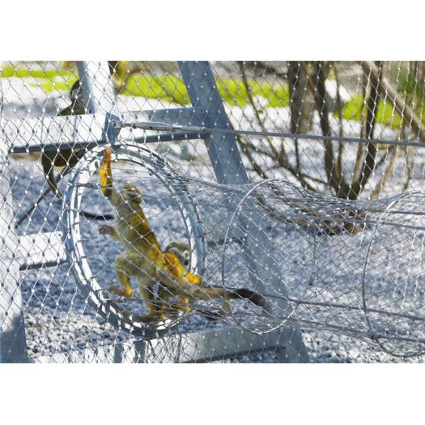 Diamond Animal Wire Mesh Stainless Steel With Polishing Surface Treatment