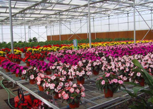 Flower Large Polycarbonate Greenhouse Strong Thermal Insulation Sides Ventilation