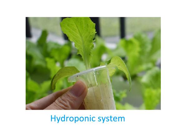 Home Grow Indoor Plant Hydroponic Grow System With 72 Holes Countryside Style