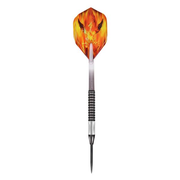 Emyth Couple Style Steel Tip QING NIU Tungsten Darts Set