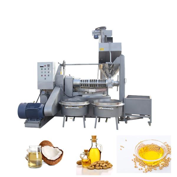 6YL-160 Automatic Oil Press Machine Screw Oil Presser Mustard Oil Making Machinery