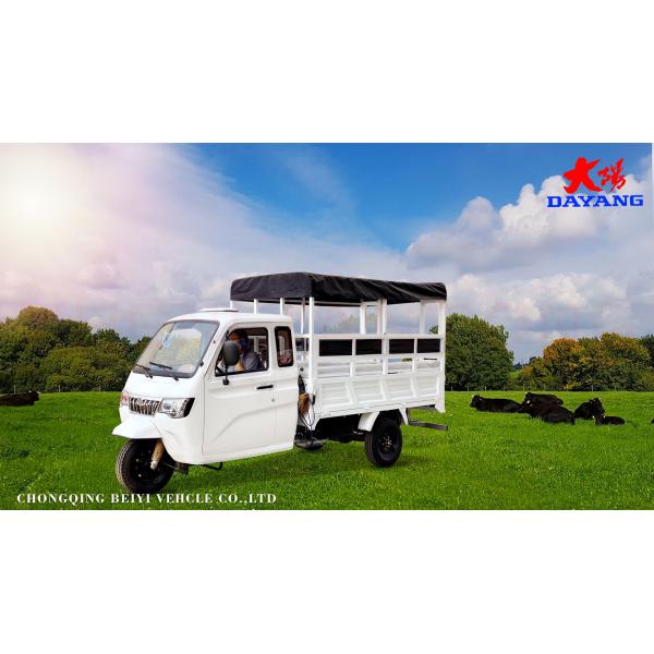 Закрытый тип кузова 2-местный пассажирский трехколесный велосипед с большим грузовым ящиком и 6 3 листовкой
