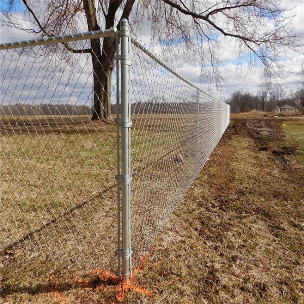 Black Pvc Coated 5 Foot Steel Chain Link Fencing Lightweight