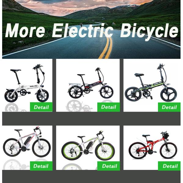 S9F Folding Fat Tire Electric Bike LCD Digital Display USB Charging Port