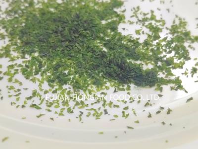 Umami Natural Rico em Ulva Lactuca Algas do Mar Alface do Mar Algas comestíveis para tempero