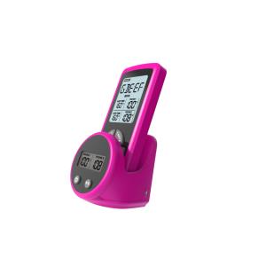 Момент времени БАРБЕКЮ гриля прочитал термометр мяса варя для на открытом воздухе варить