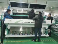 Las rebanadas secadas de la cebolla colorean los canales Olive Cherry Beans Small Fruits vegetal de la clasificadora 320