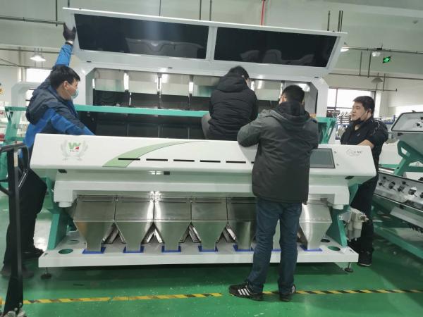 7 Chutes Multifunction Color Sorter For Cardamom Grading