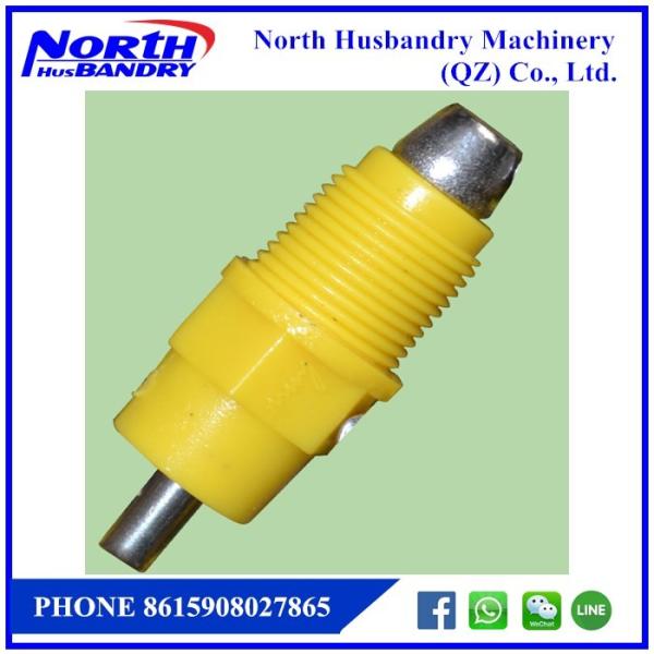 poultry birds chicken broiler flooring or ground feeding and drinking line