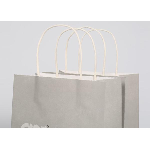 Матт напечатал сумки упаковки подарка изготовленного на заказ логотипа крепкие Ресиклабле с подгонянным логотипом