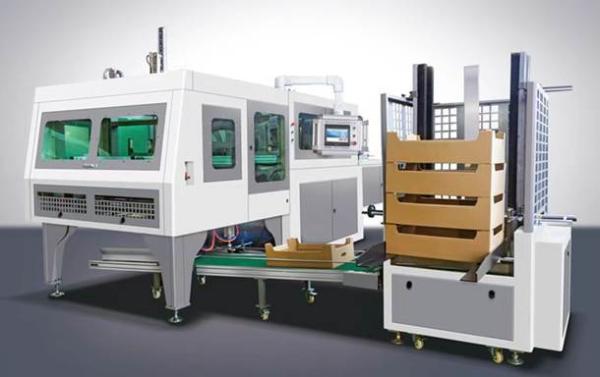 Máquina plegadora automática de bandejas para fruta