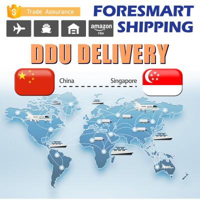 Reembalando armazenando o transporte de DDU, enviando de China a Singapura