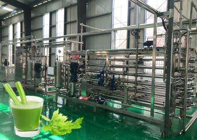 Linha de processamento vegetal equipamento da segurança de processamento estável do aipo do desempenho