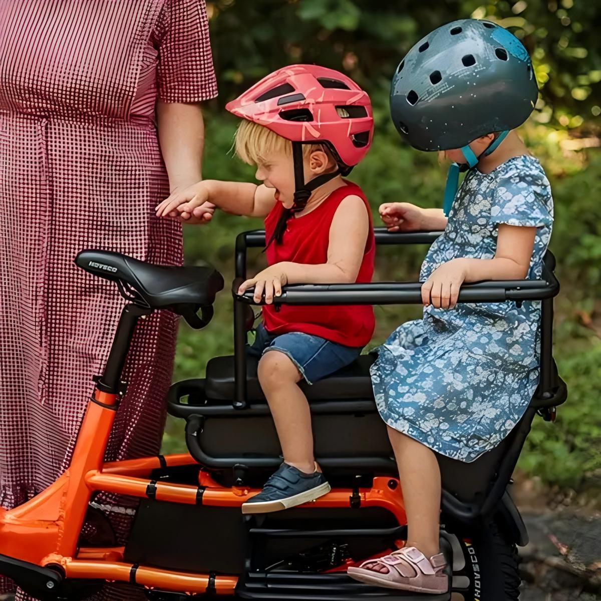 German Warehouse HovCart EU/US/AU Stock Electric City Cargo Bike for Two Children with Protection Seat Torque Sensor Fat Tire