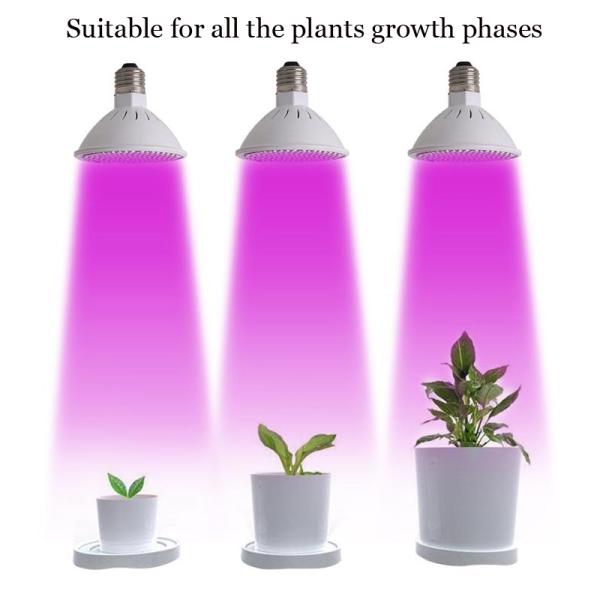 Greenhouse Full Spectrum LED Grow Lights 78 Red 24 Blue For Hydroponics Plant Seeding