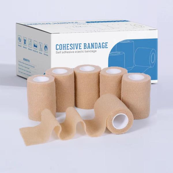 Фильм покрыл пусковые площадки одиночного гинекологического рассмотрения устранимые медицинские