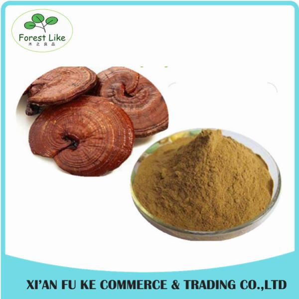 Anti-tumor Chinese Magical Herb Wild Lingzhi Shell-broken Spore Powder