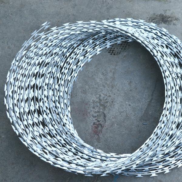Gaiolas galvanizadas das galinhas poedeiras de ovo com capacidade 128 na tubulação de água do PVC de Kenya