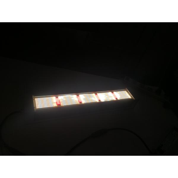 RikoLite 240W полное СИД спектра растет светлая тонкая Адвокатура, СИД садоводства AL1100 растет света