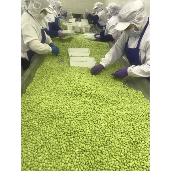 Посоленный цвет несоленых фасолей IQF замороженных Edamame типичный зеленый
