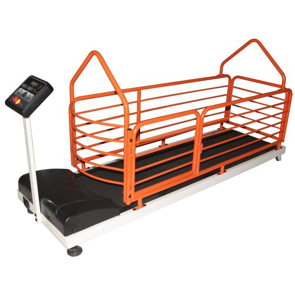 SGS 12km/H Indoor Dog Treadmill , Dog On Running Machine