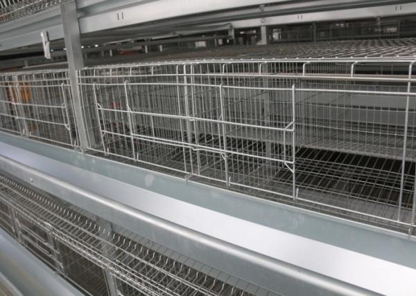 High Efficiency Layer Hen Cages Battery Cage System For Layers ISO9001 Approved