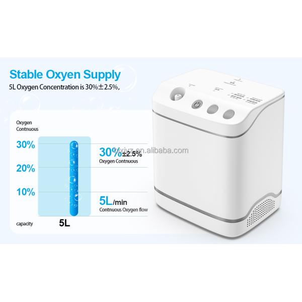 DC5V/2A DC9V/2A Voltage App-Controlled Portable Oxygen Concentrator for Easy Breathing